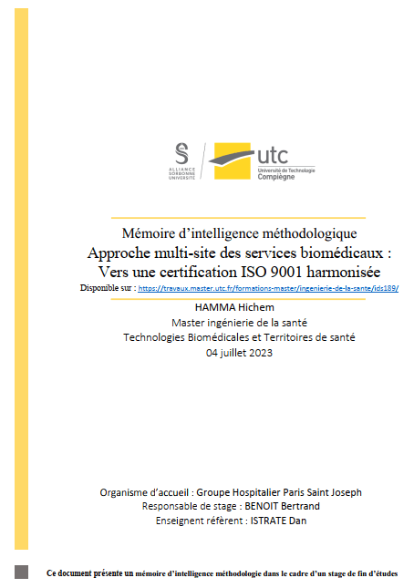 IDS189 - Mémoire d'Intelligence Méthodologique