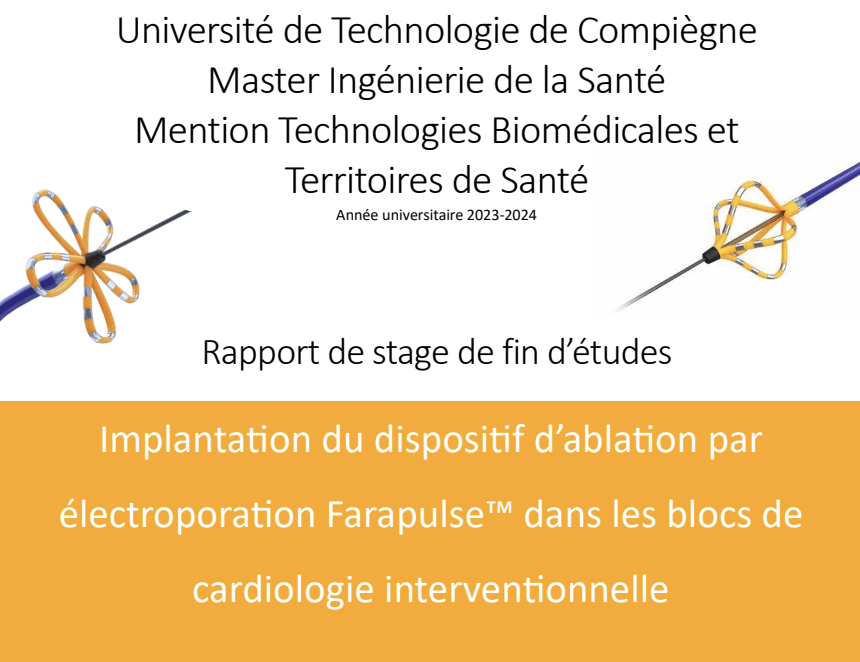 IDS227 - Rapport de stage