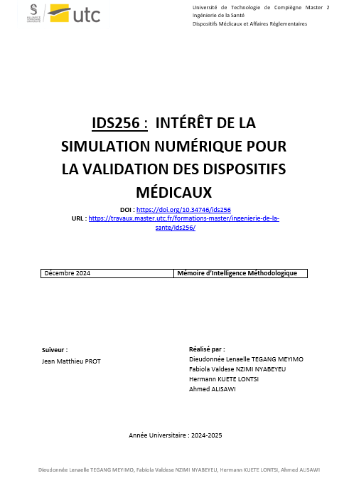 IDS-256-Mémoire