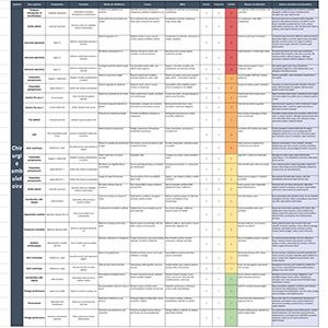 IDS293 - Analyse des risques liés au plan d'actions